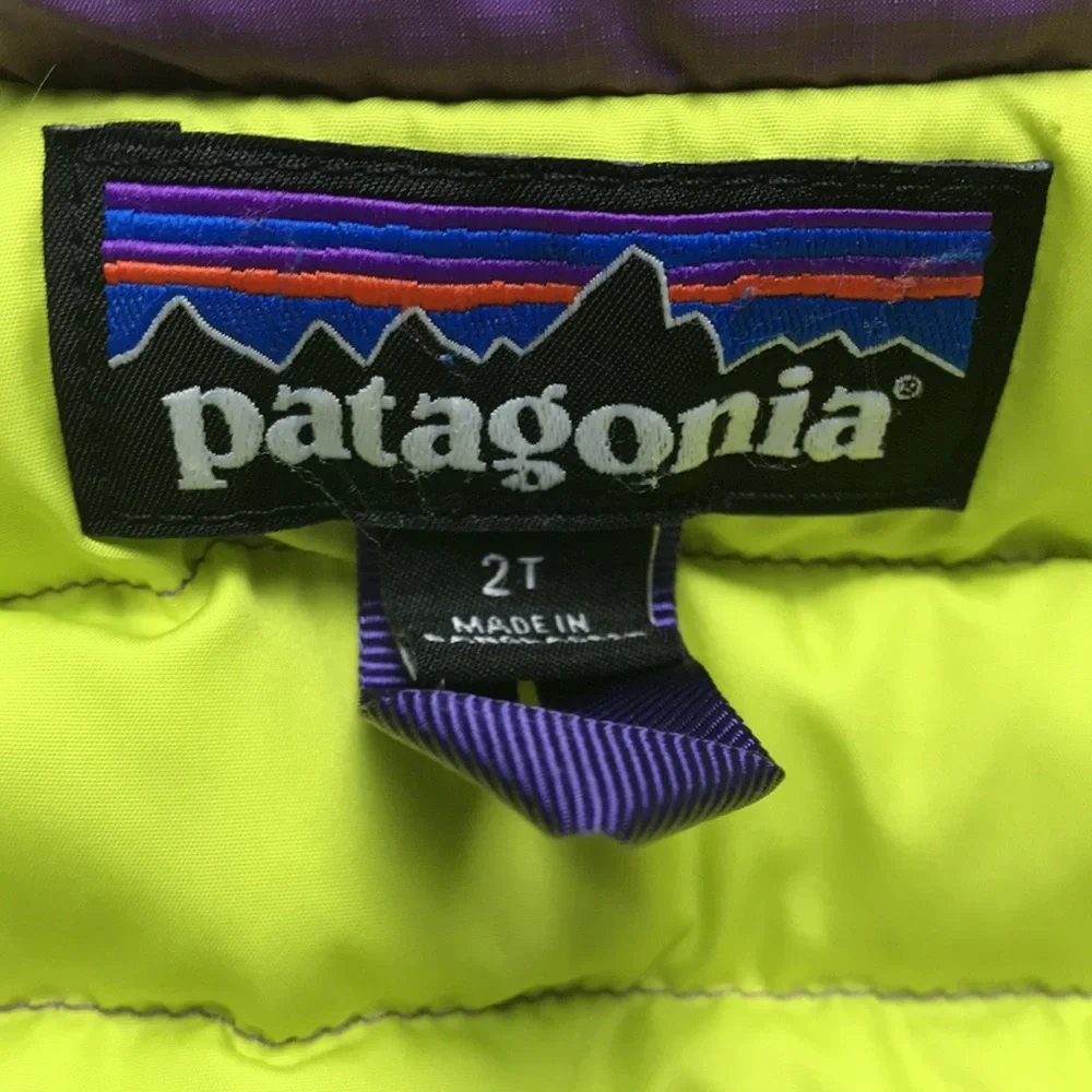 Patagonia Down Vest (size 2T)